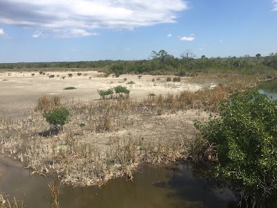 Photos of Picayune Strand State Forest WMA