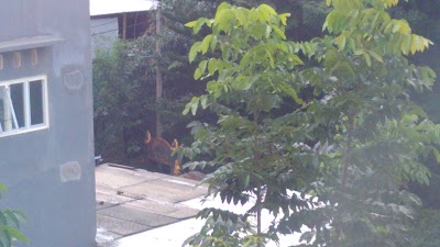 Photos of Source Torong Park
