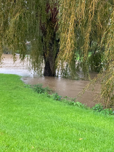 Kennelly Park