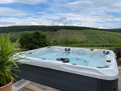 Photo de Eveline Piscines / Passion Spas à Aube (61270)