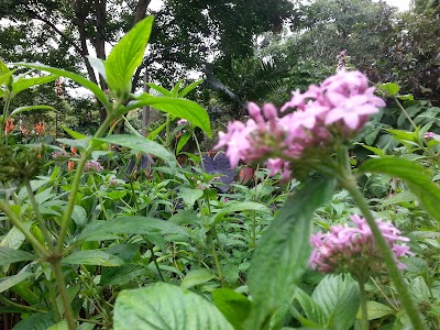 Photos of Parque Lineal La Presidenta