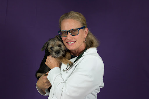 Easthaven Animal Hospital