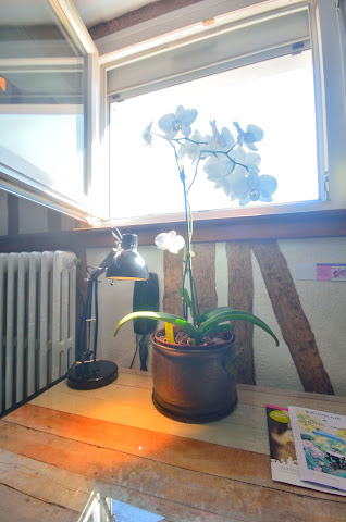 Hôtel Vauban by null