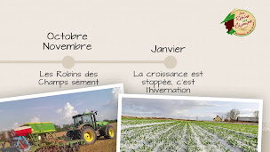 Photo n°2 de VICTOR et Compagnie ECULLY à Écully (Boulangerie)