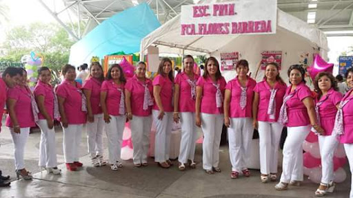 Escuela Primaria Estatal Francisca Flores Barreda - Thumbnail