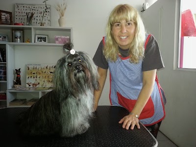 Photos of Veterinaria Villafa&ntilde;e