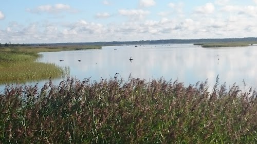 Ievērojamu vietu apskate