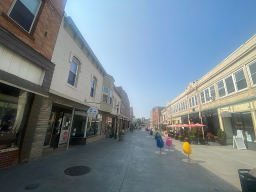 Downtown Somerville Alliance - Thumbnail