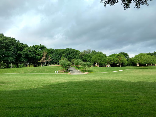Celestial Park - Visual
