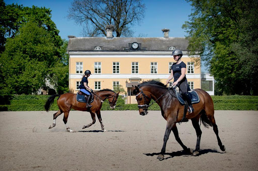 Sveriges Ridgymnasium - Thumbnail