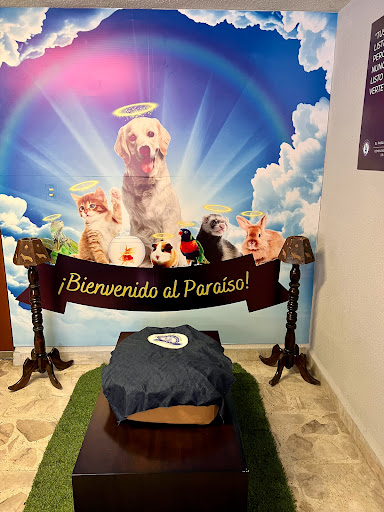 El Paraíso De Mi Amigo