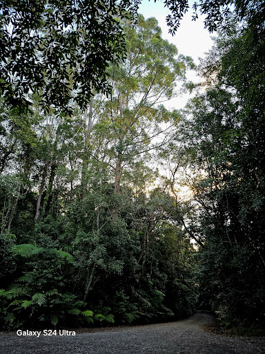 Red Cedar Falls walking track Gallery - Australia