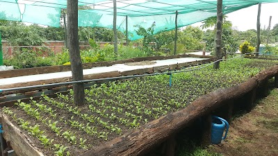 Photos of Bamboo Restaurant and Guesthouse