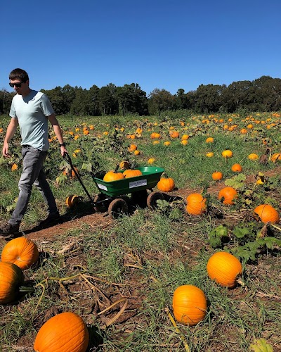 Cotton Hills Farm