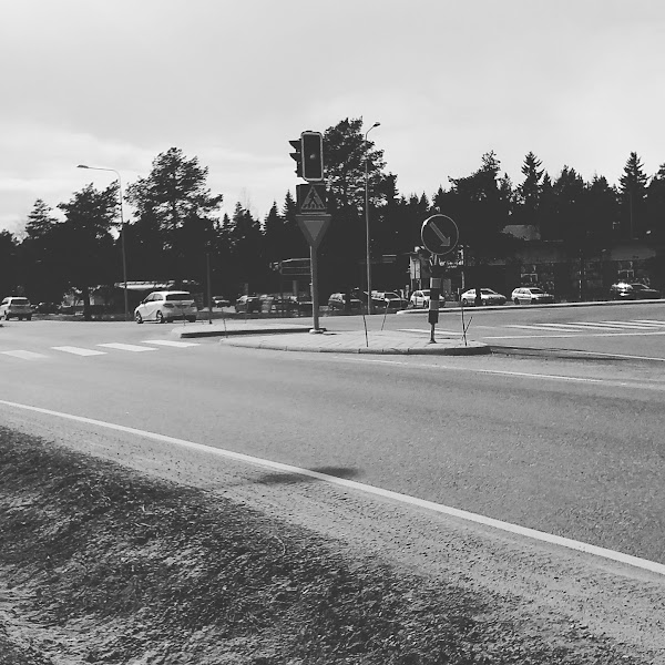 Хаукипудас финляндия