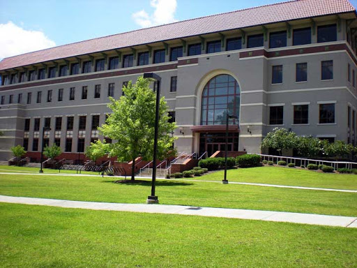 Odum Library - Visual