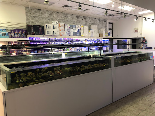 Aquariums Reefsolution - Thumbnail