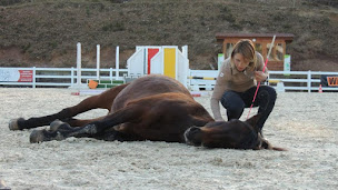 Photo n°11 de L'Equ'Crin D'Olima à Chantraine (Complexe sportif)