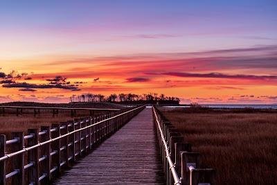 Charles Island Natural Area Preserve