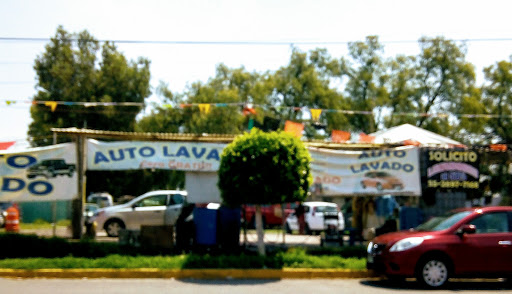 Lavado de Autos La Ardilla
