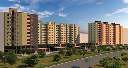 "ГЕРБЕРА" ООД