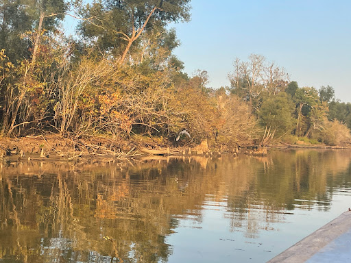 Beyond the Bayou Tours - Thumbnail