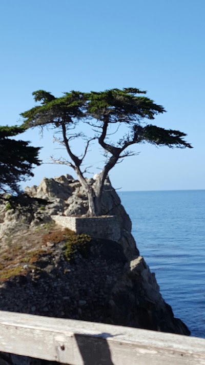 Photos of Carmel Resort Inn