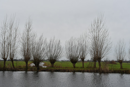 Bosdijk - Visual