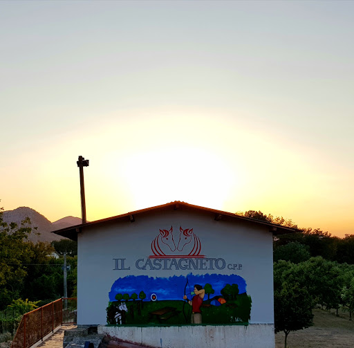 Il castagneto c.p.p - Visual