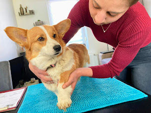 Photo n°6 de Noémie Creton - Ostéopathe animalier à Verdun (Ostéopathe)