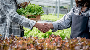 Photo n°3 de CGO à Pavie (Service de préparation des déclarations fiscales)