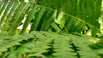 Photos of Botanische Tuin Kerkrade