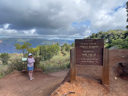 Hohonu Awawa Lookout - Thumbnail