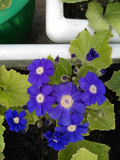 Photos of Nursery sponsor