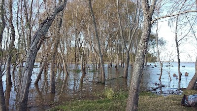 Photos of Camping La Blanqueada
