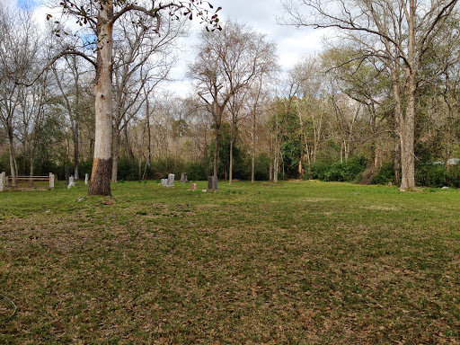Spring Cemetery - Visual