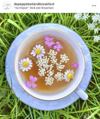 B&B da Peppe by null