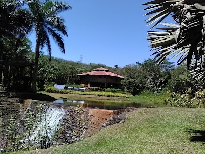 Photos of Macaw Lodge - Rainforest Costa Rica
