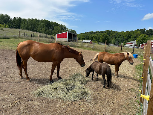 Black Star Farms Suttons Bay - Thumbnail