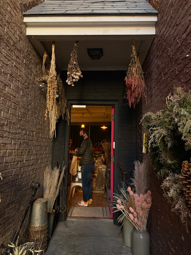 The Quiet Botanist Gallery - United States