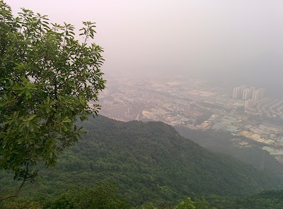 photo of Dalingshan Forest Park