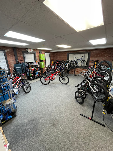 Vortex Performance Cycles - Visual