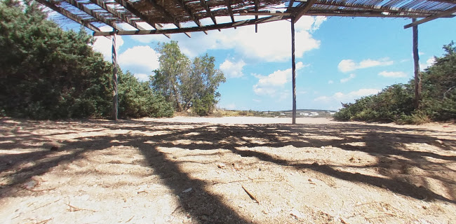Αξιολογήσεις για το Santa Maria Beach Bar στην Αλεξάνδρεια - Μπαρ