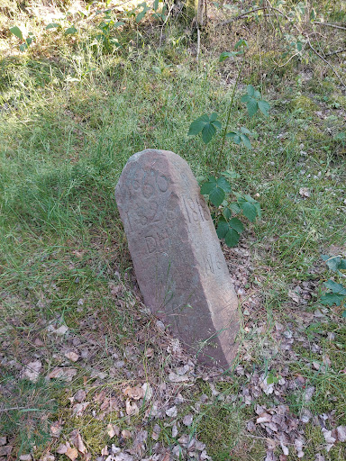 Wegstein - Thumbnail