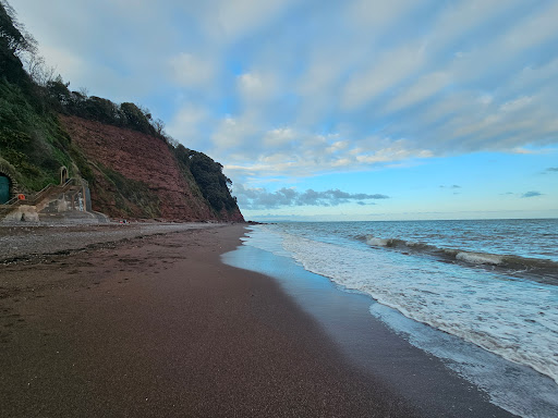 Shaldon Wildlife Trust - Thumbnail