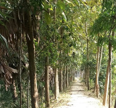 Photos of Rabeya Palace