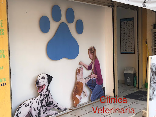 Hospital Veterinario Santa Anita