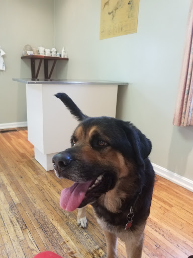 Worner Veterinary Hospital - Thumbnail