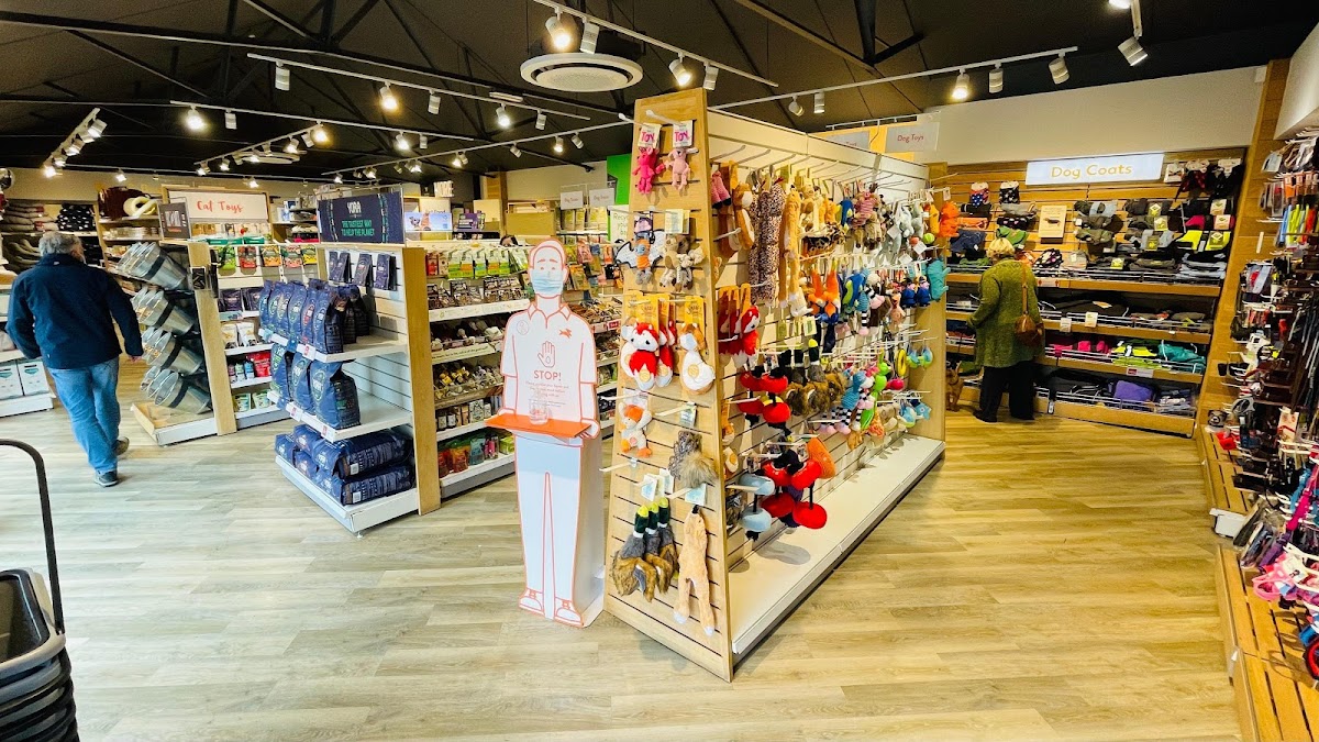 Pets Corner Horsham, Your Best Reviewed Local Pet Shop