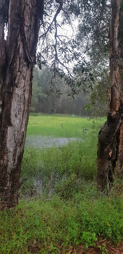 Alf Schmidt Wetland - Thumbnail